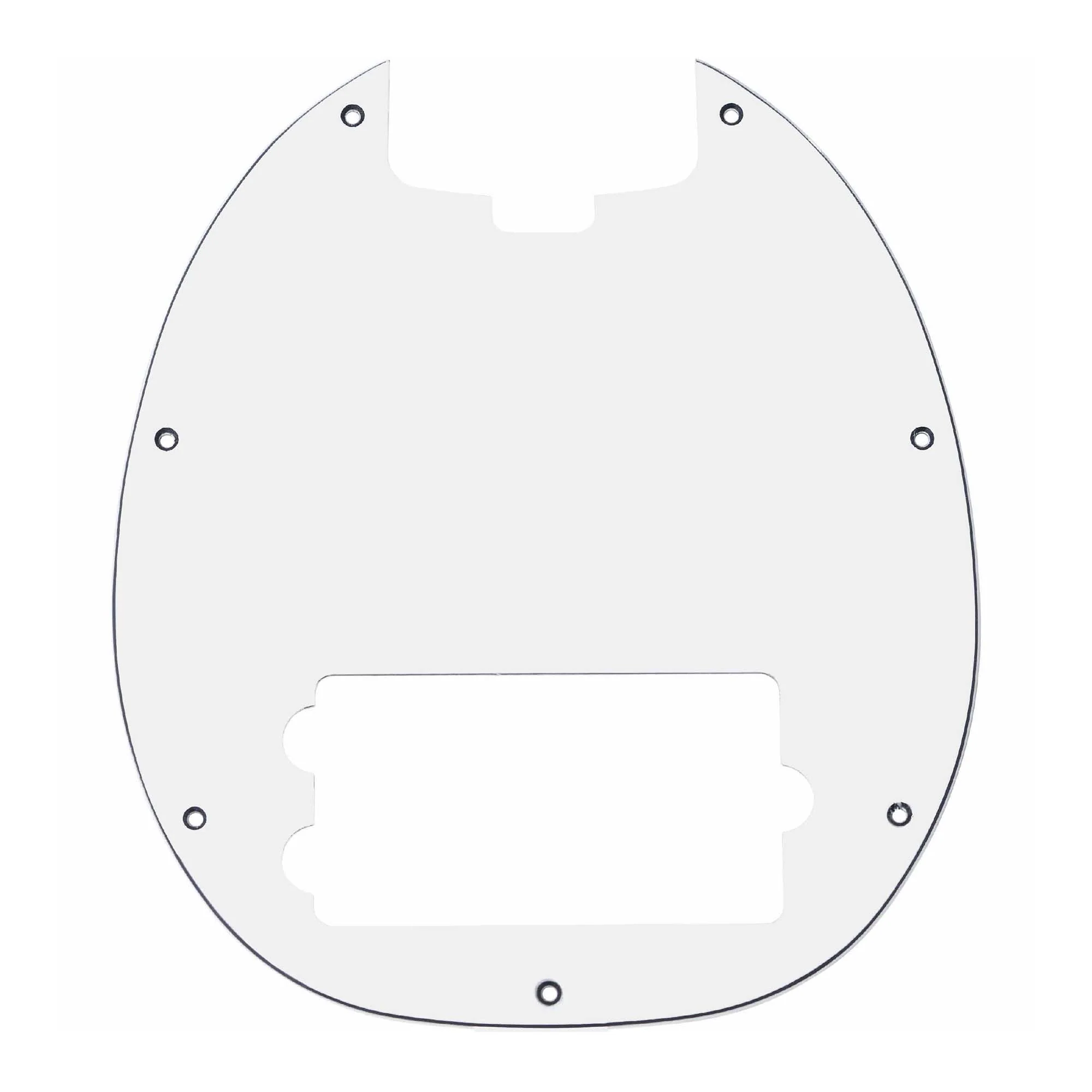Pickguard for RAYSS4