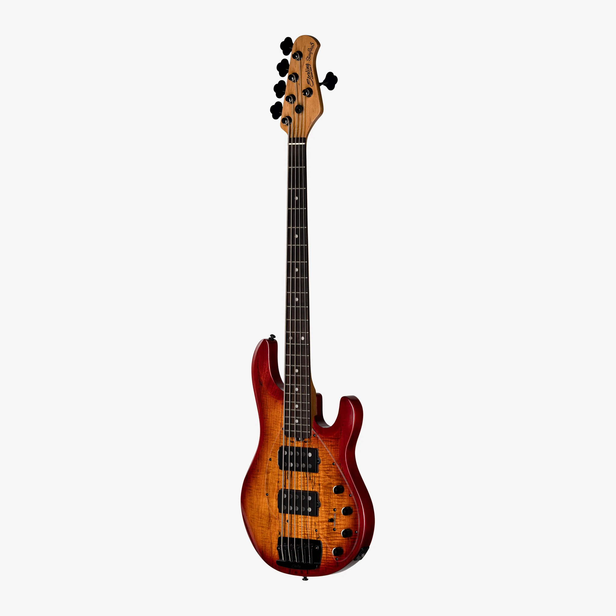 StingRay 5 HH Maple Top - Image 3